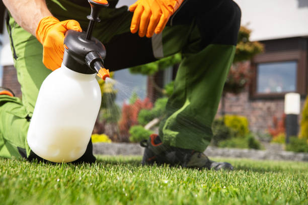 Best Residential Pest Control  in Old Stine, CA