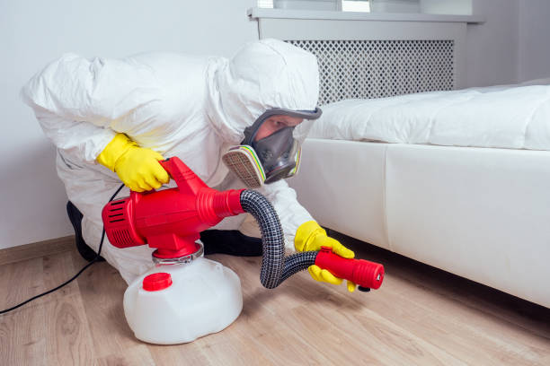 Best Ant Control Services  in Old Stine, CA