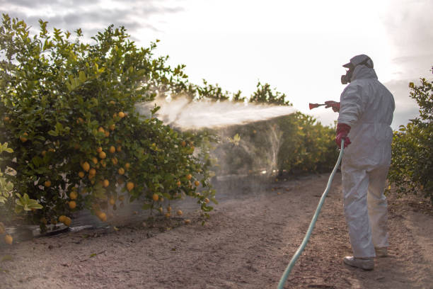 Best Wildlife Control Services  in Old Stine, CA